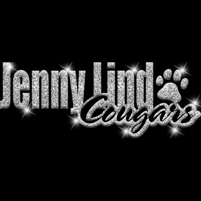 GLT1   SILVER GLITTER Thumbnail